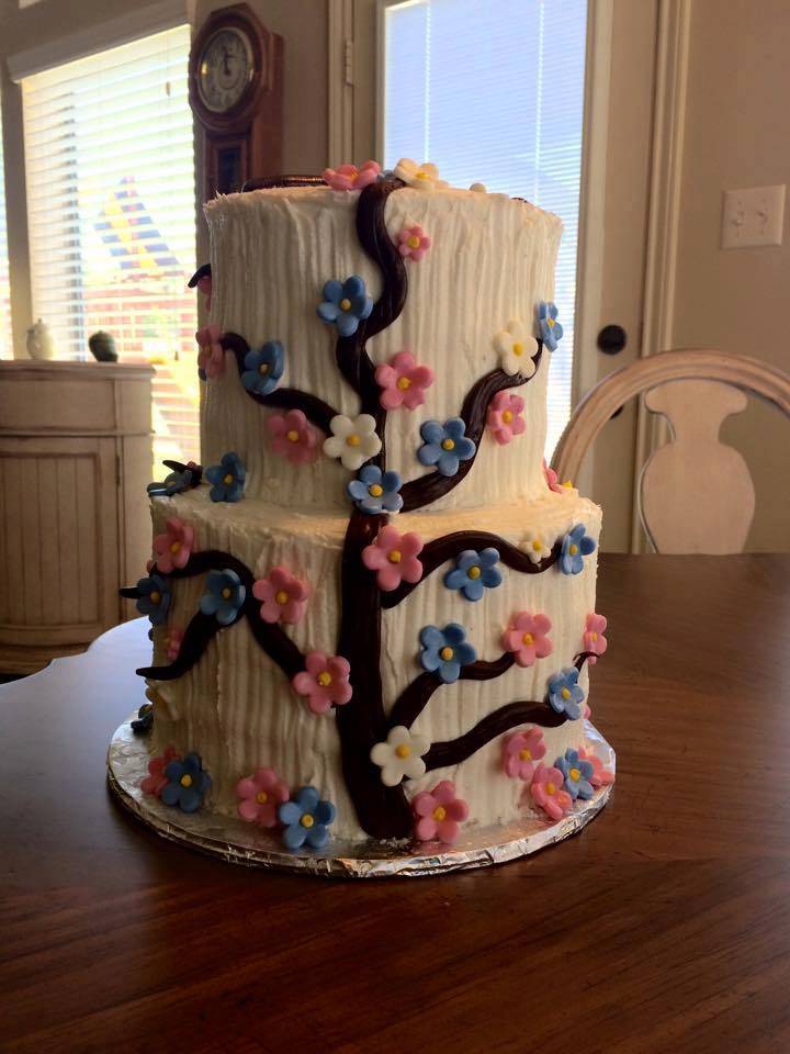 baby shower gender reveal cake