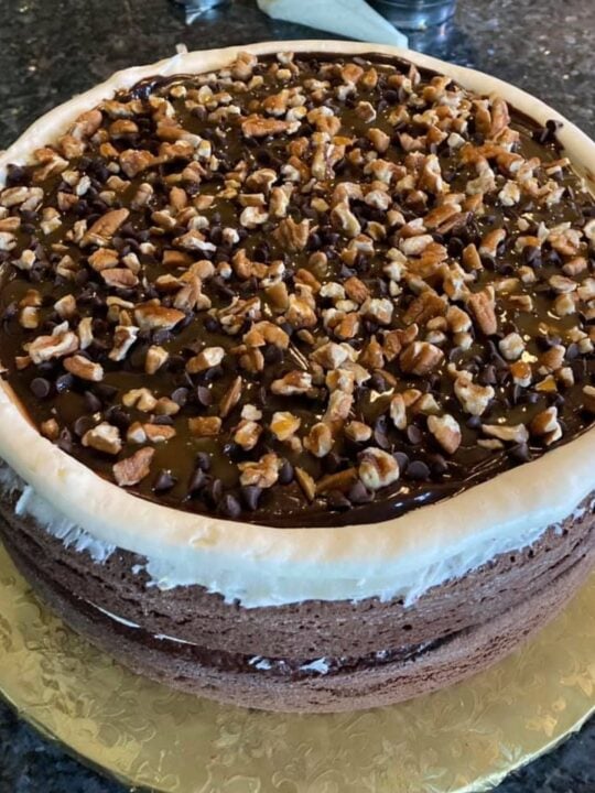 chocolate cake with nuts, fudge, and chocolate chips