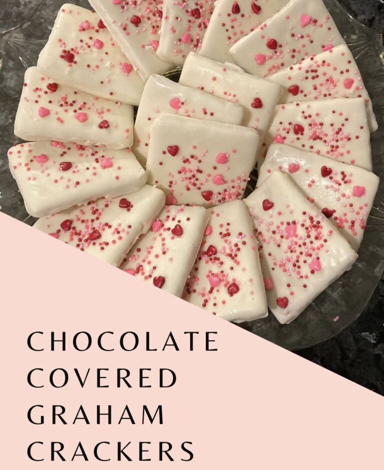 Chocolate Covered Graham Crackers