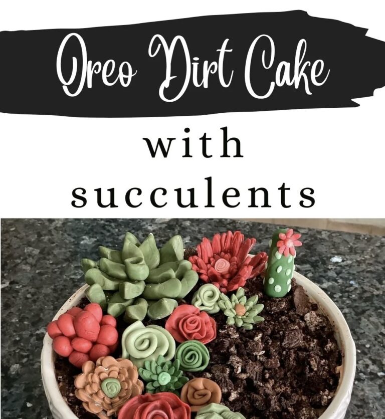 Oreo Dirt Cake with Succulents