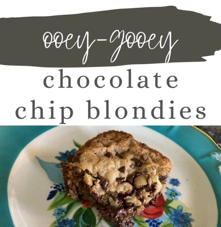 Ooey-Gooey Chocolate Chip Blondies