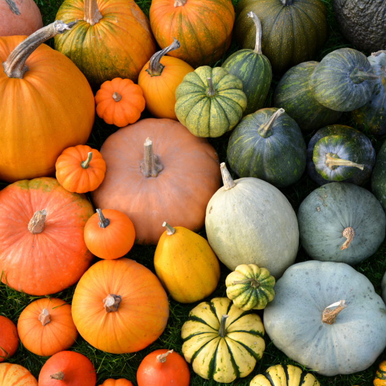 101 A-Gourd-able Pumpkin Quotes