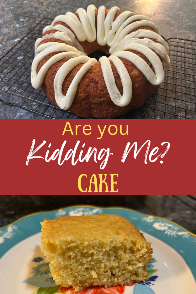 are you kidding me cake pin