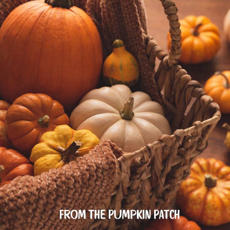 From the Pumpkin Patch: Favorite Pumpkin Desserts