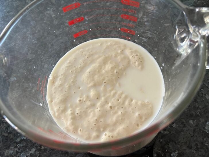 sourdough starter and water in bowl