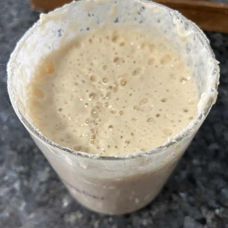 Worldβs Easiest Sourdough Starter