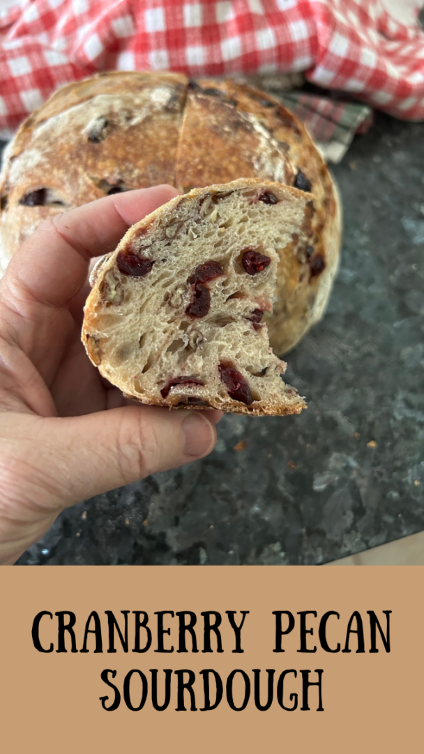 Easy Cranberry Pecan Sourdough