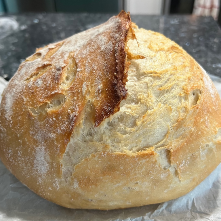 Same Day Sourdough Bread (with Yeast)