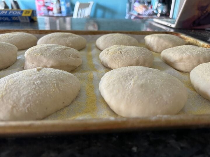 English muffins rising on cookie sheet