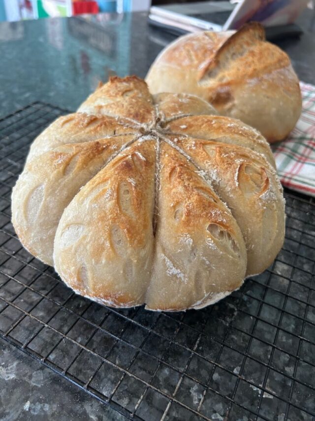 It's Sourdough Month!