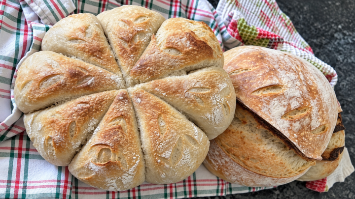 sourdough loaves