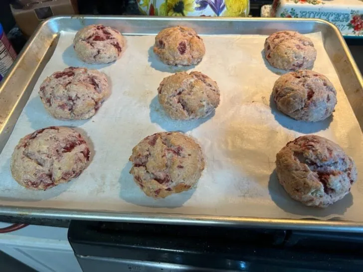 tray of baked scones