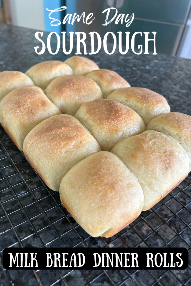 same day sourdough dinner rolls pin for Pinterest