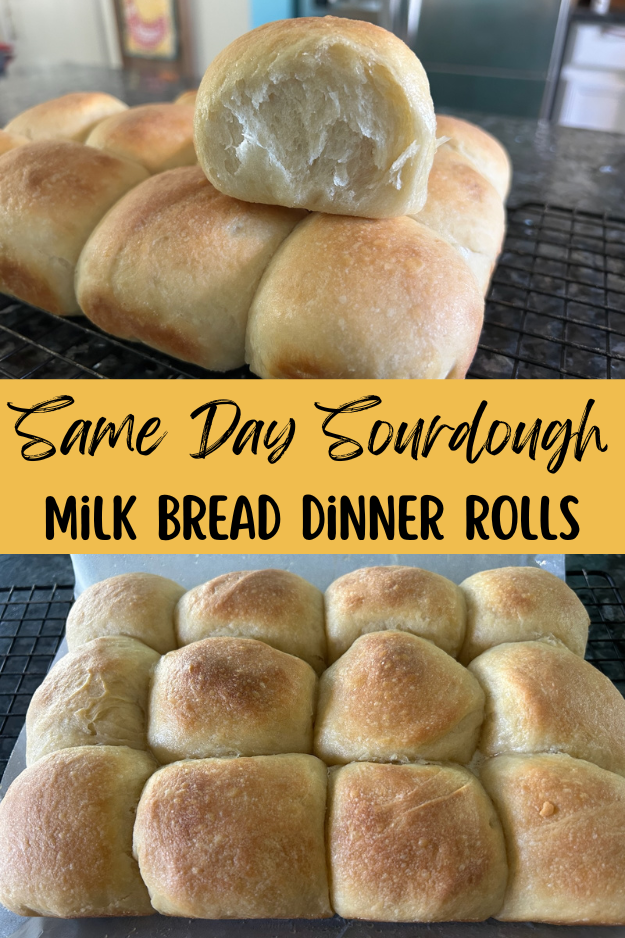 same day sourdough dinner rolls pin for Pinterest