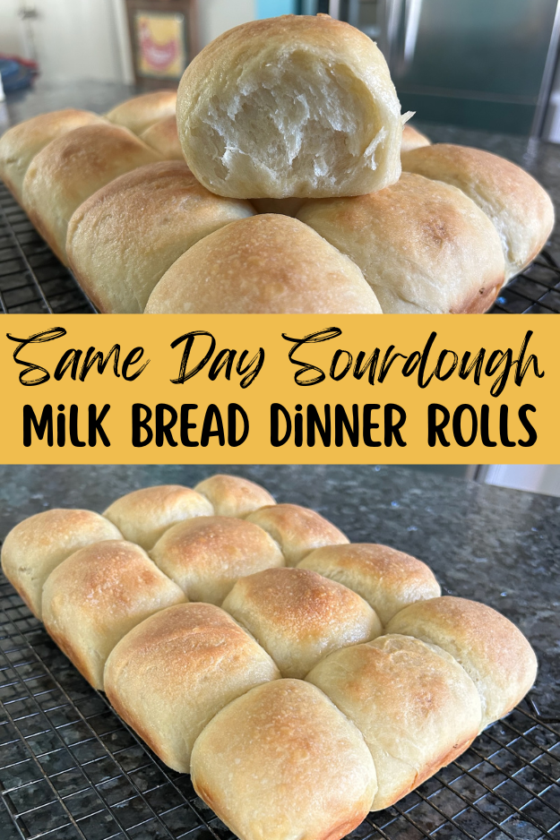 same day sourdough dinner rolls pin for Pinterest