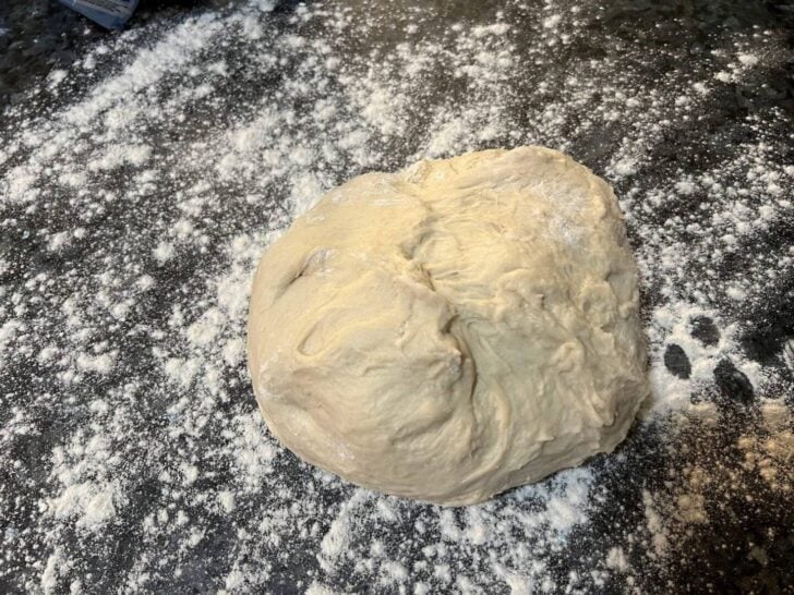 sourdough dough (shaggy)