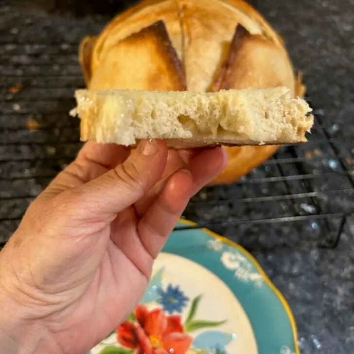 slice of sourdough, seen from the side