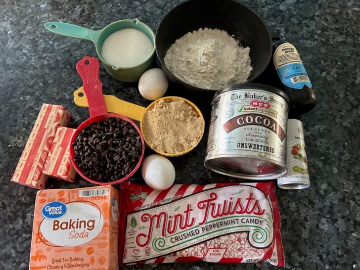 Double Dark Chocolate Peppermint Cookies 