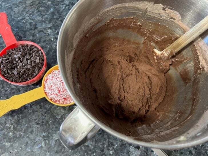 Double Dark Chocolate Peppermint Cookies 