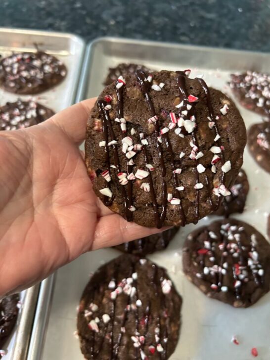 Double Dark Chocolate Peppermint Cookies 