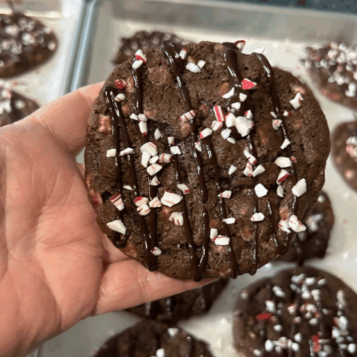 Double Dark Chocolate Peppermint Cookies