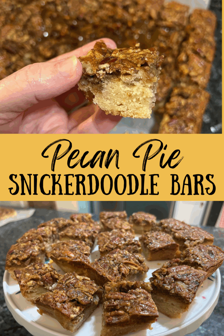 pecan pie snickerdoodle bar pin for pinterest