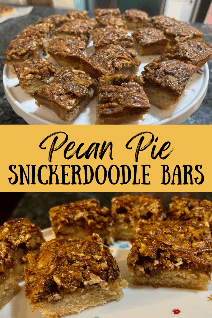 pecan pie snickerdoodle bar pin for pinterest