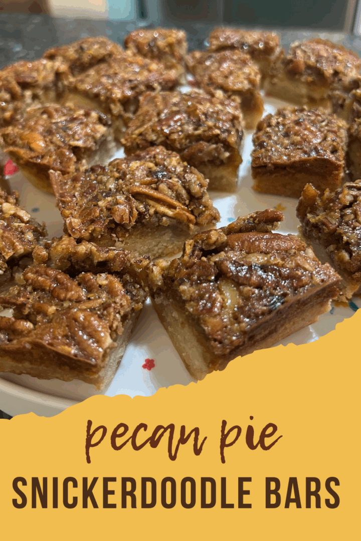 pecan pie snickerdoodle bar pin for pinterest