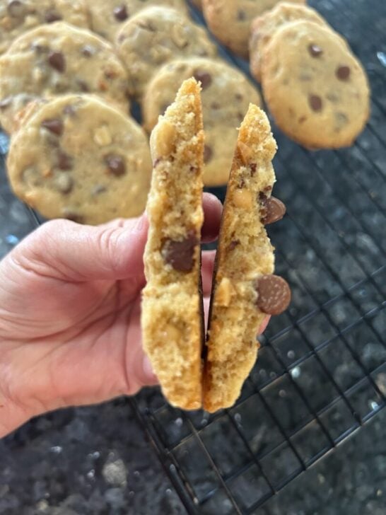 Spanish Peanut Chocolate Chip Cookies (interior view)