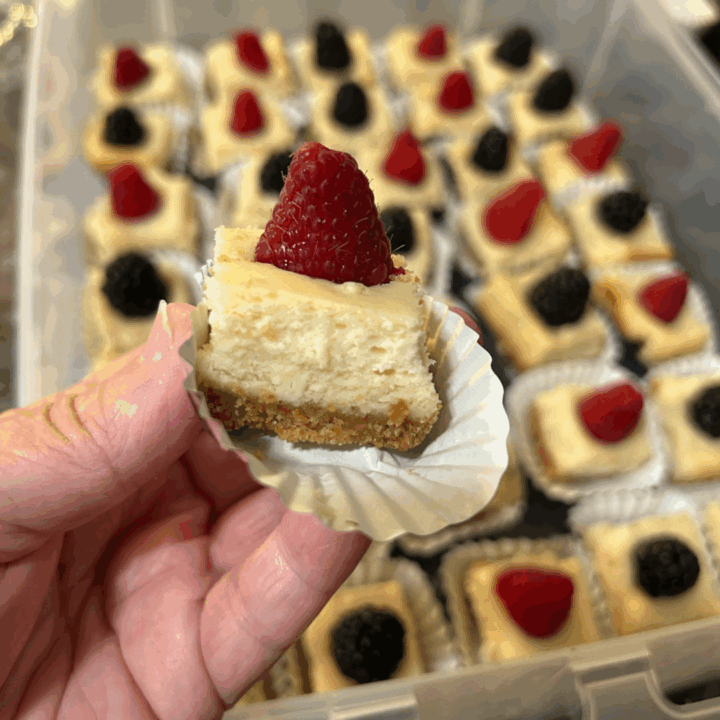 Luscious Raspberry Cheesecake Bites