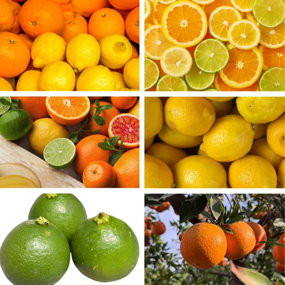 citrus fruits, fresh