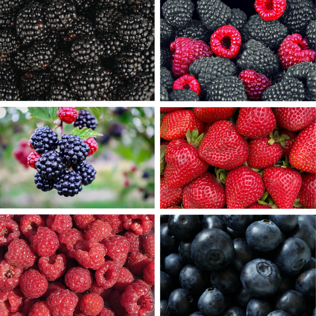 image of fresh berries