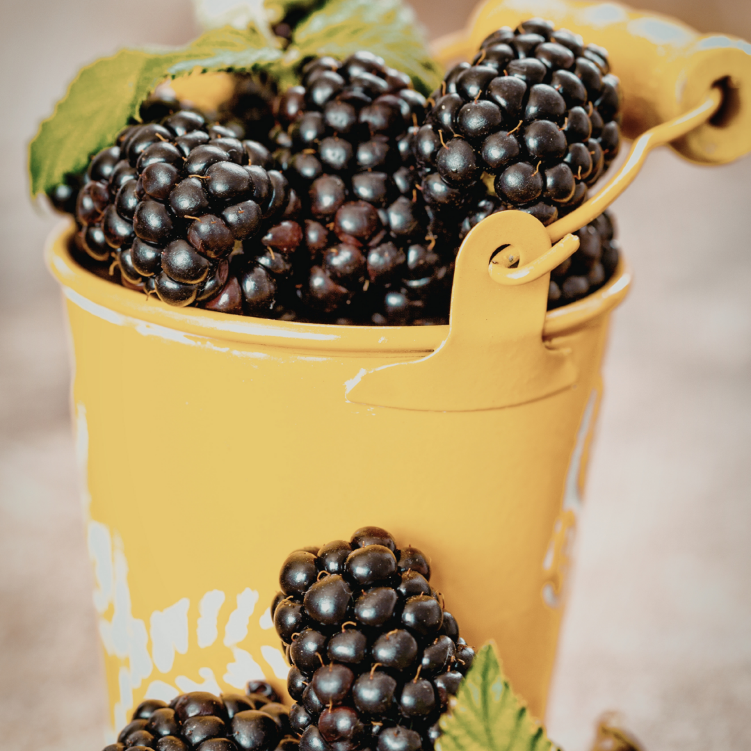 bucket of blackberries