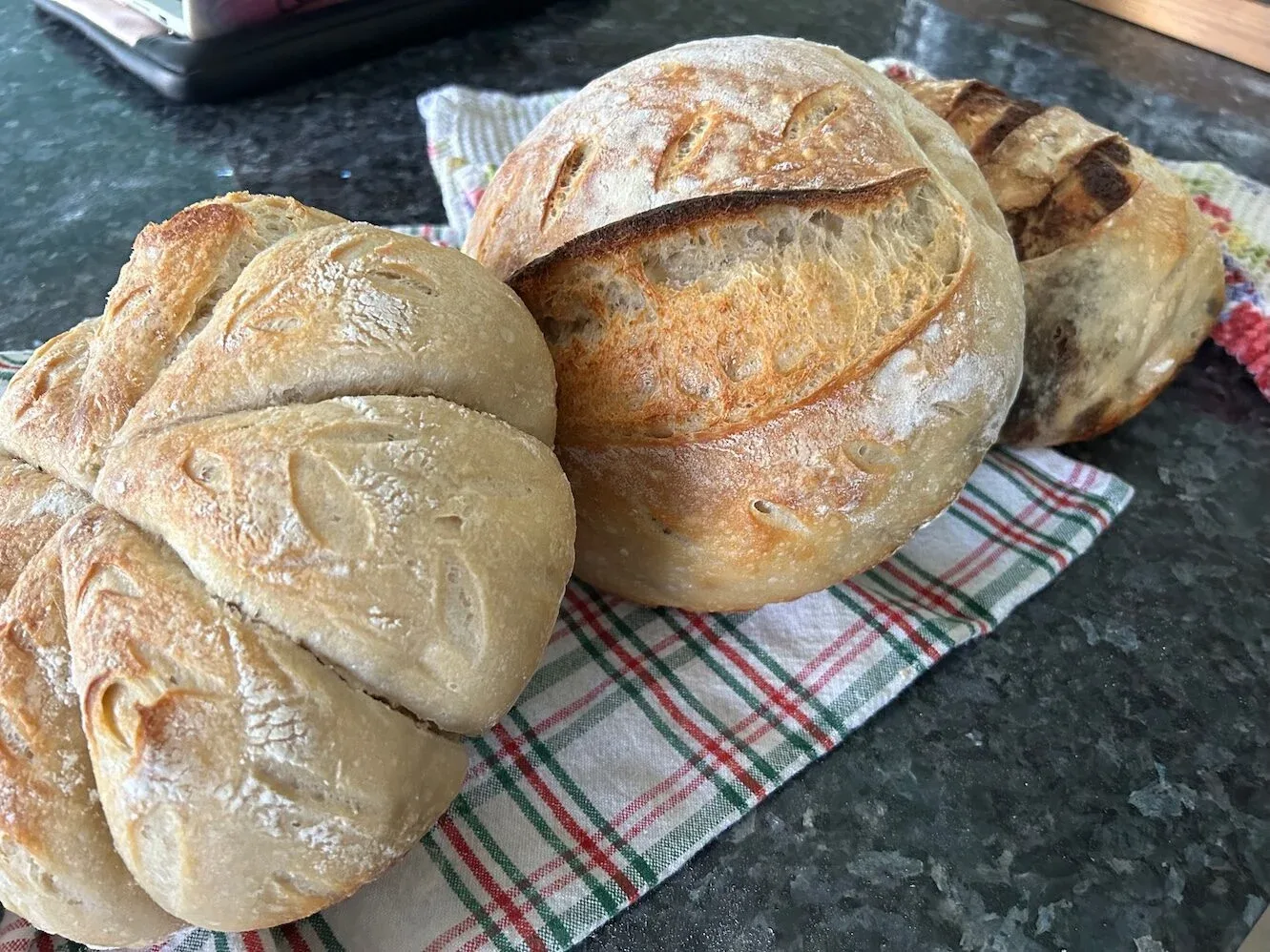 sourdough bread loaves