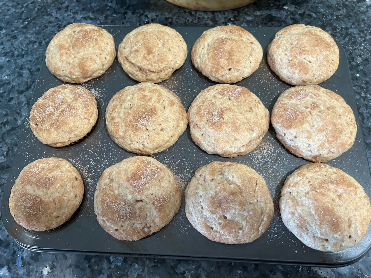 Snickerdoodle Cupcake unfrosted