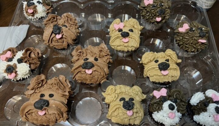 animal themed desserts