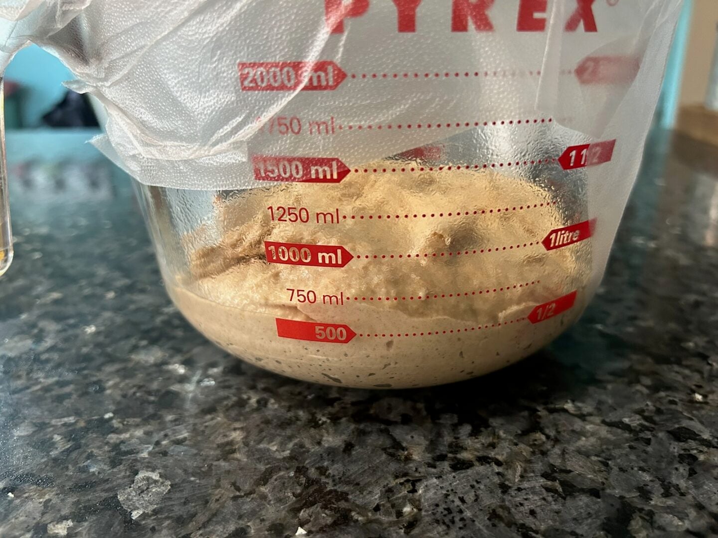 bread dough in bowl before rising