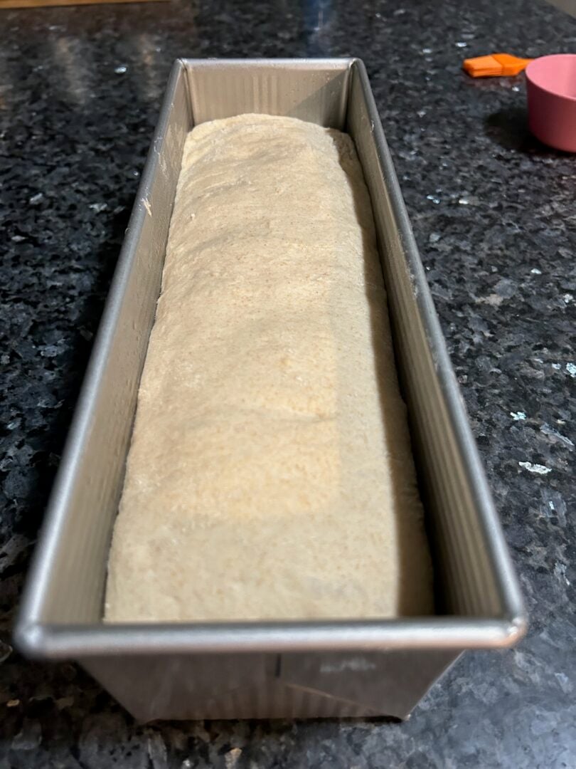simple sandwich bread dough in pan