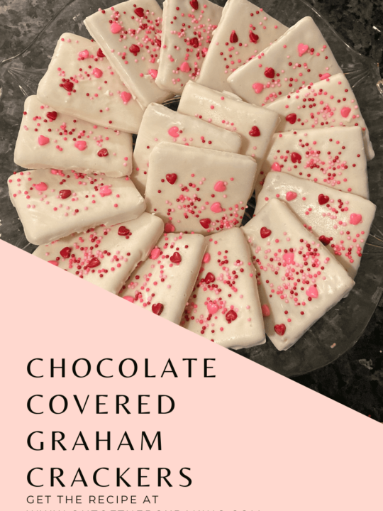 chocolate covered graham crackers