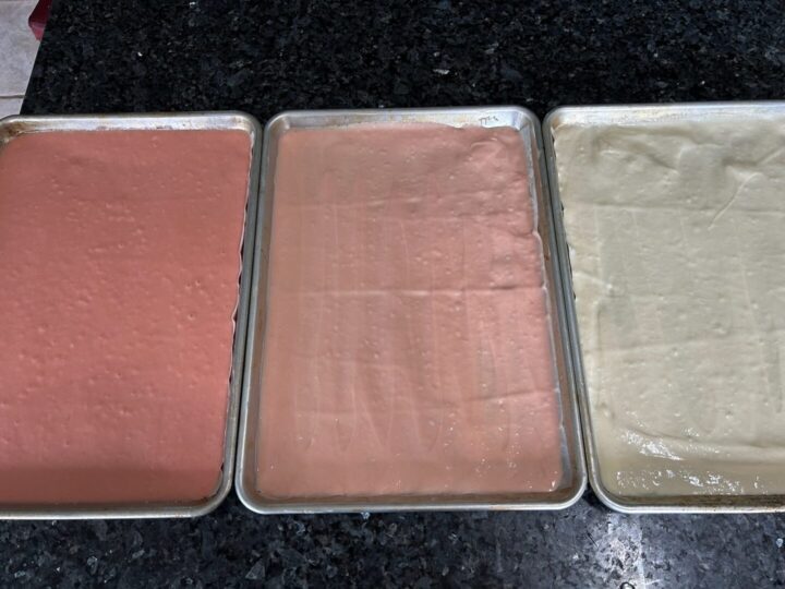 cake batter in baking sheets
