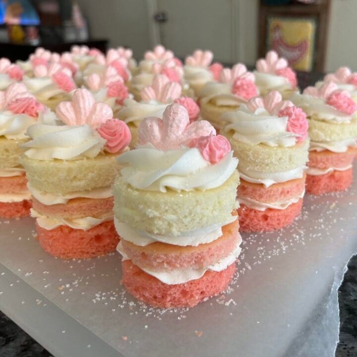 mini layer cakes