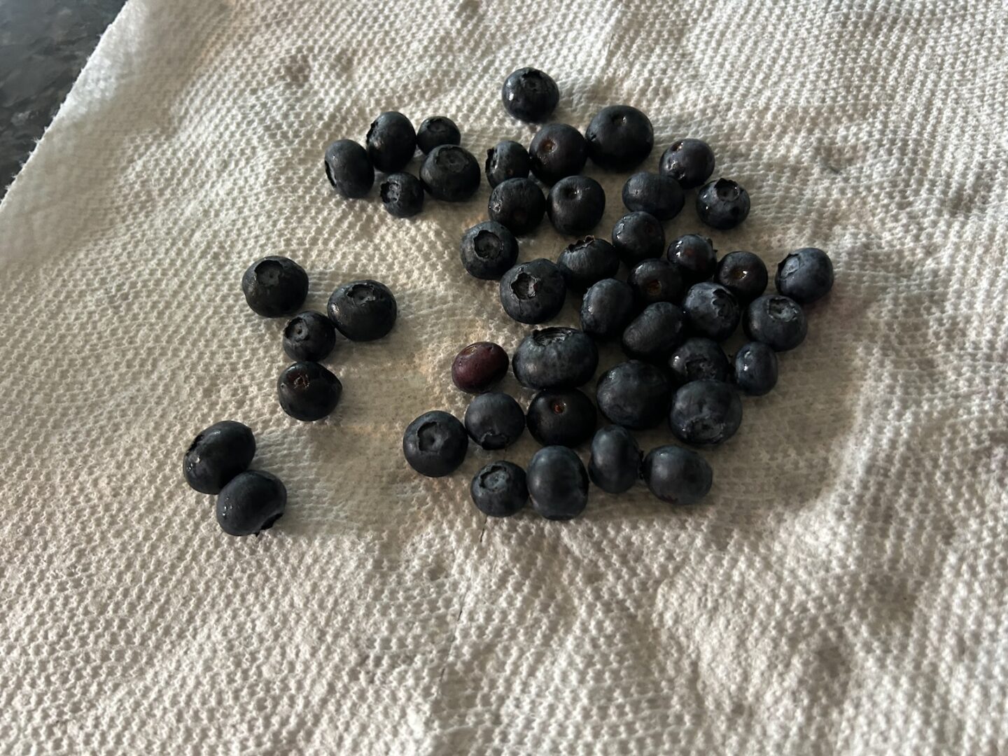 freshly washed blueberries