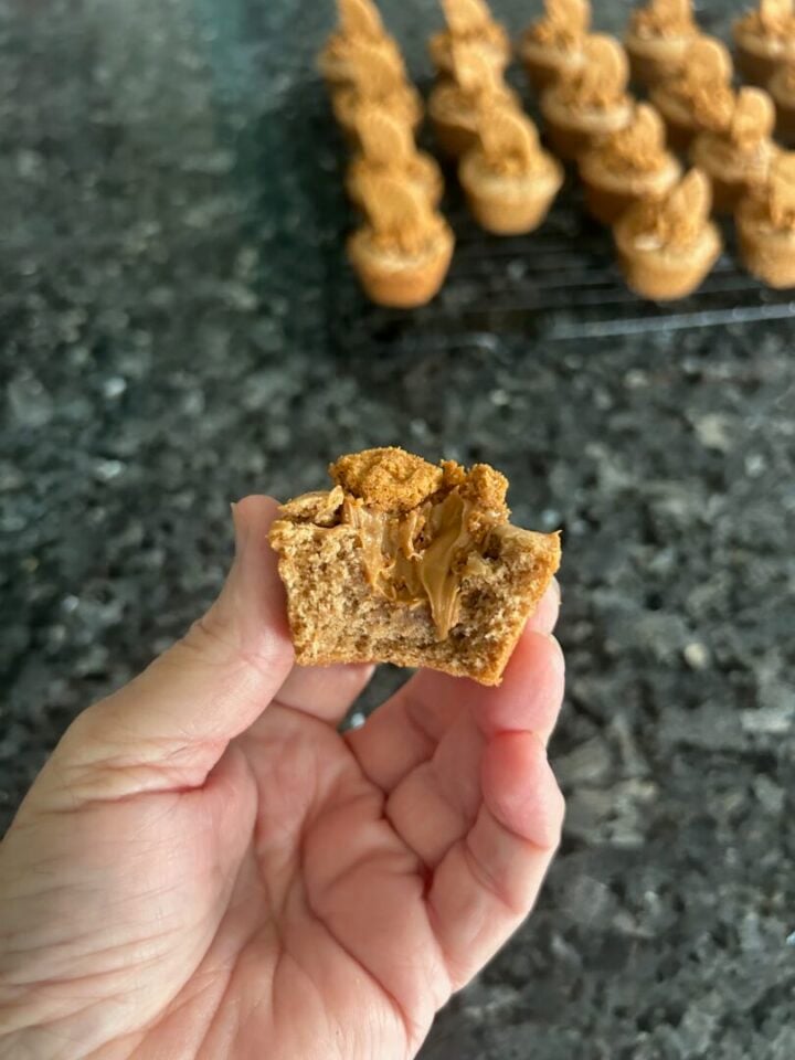 Spice Cake Bites with Biscoff Cookie Butter Filling