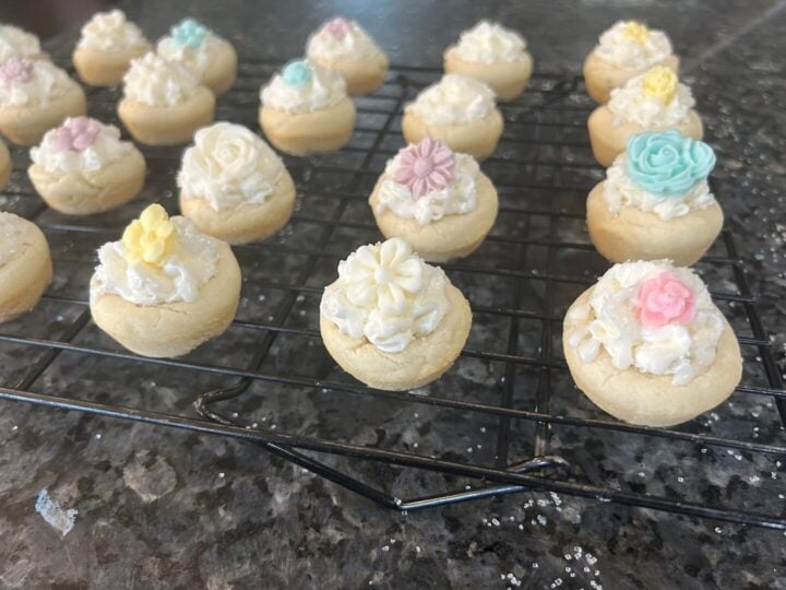 The Ultimate Collection of Cookie Cups and Cake Bites