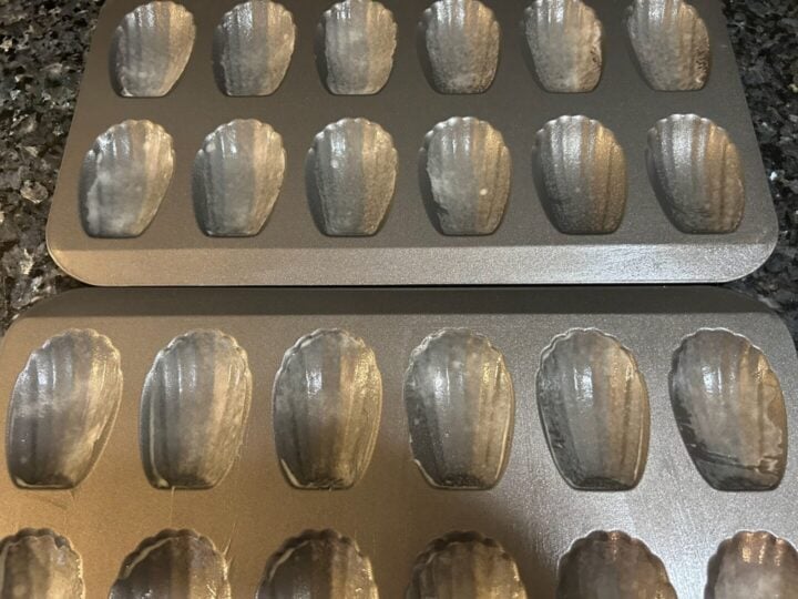Madeleine pan, greased and ready
