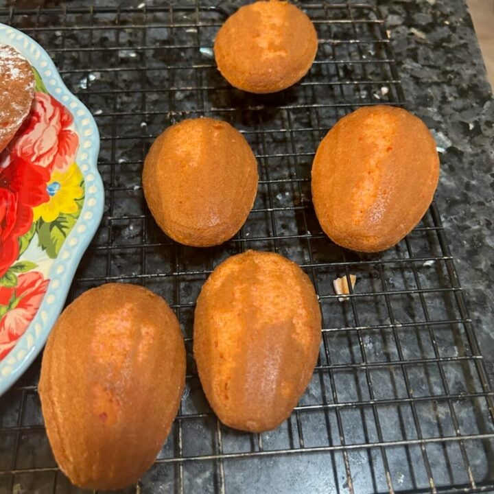 backside of baked madeleines