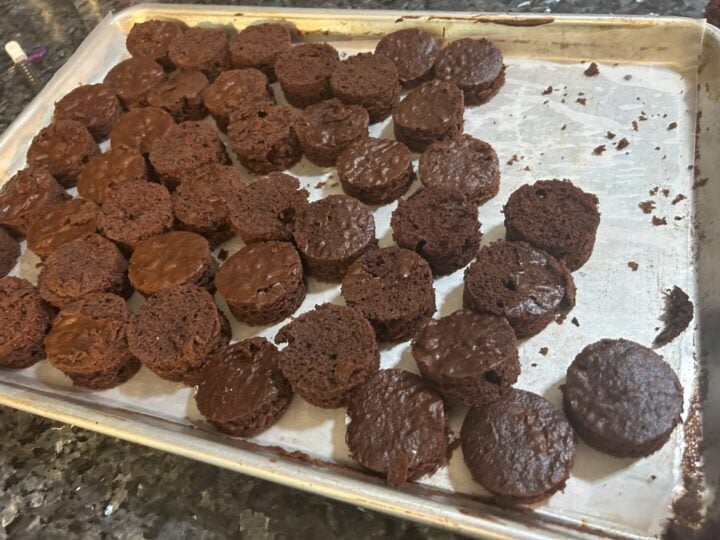 chocolate cake cut into small circles