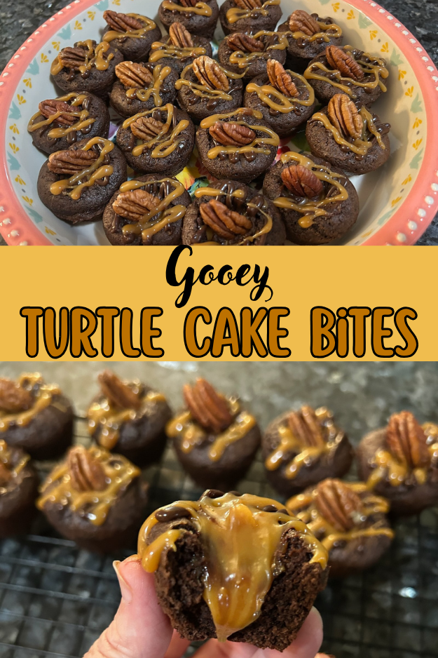 gooey turtle cake bites pin for pinterest