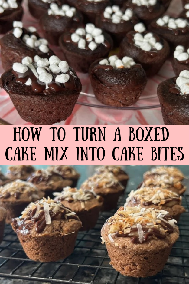 How to turn a boxed cake mix into cake bites pin for pinterest