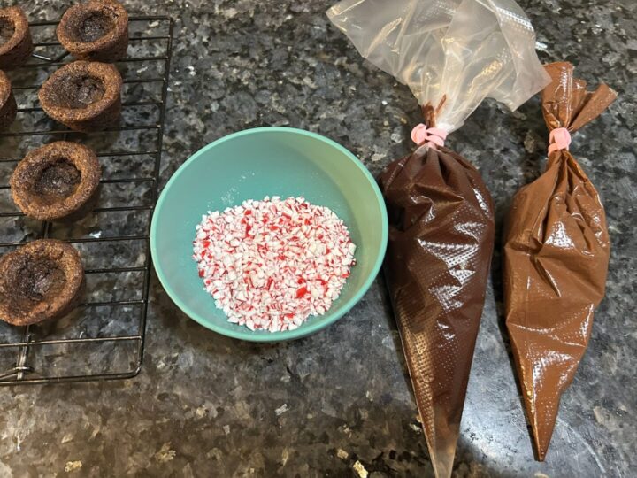 peppermint and chocolate, the perfect pairing